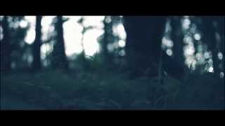 Allein im Wald – mit FEIN [upl. by Ladd]