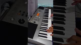 Yamaha PSR E 353 Touch Response [upl. by Hplodur]