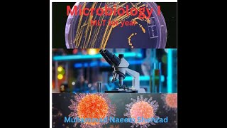 Lecture 3 MLT 1st Coagulase Test Microbiology 1 By Muhammad Naeem Shehzad [upl. by Nikral]