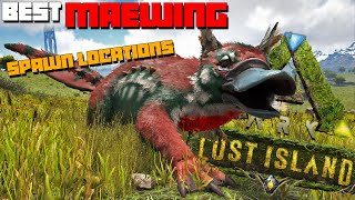 ARK Lost Island MAEWING  Best Spawn Locations [upl. by Novel]