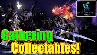 FFXIV Heavensward  Collectables amp Ephemeral Nodes  Gathering [upl. by Refinaj]