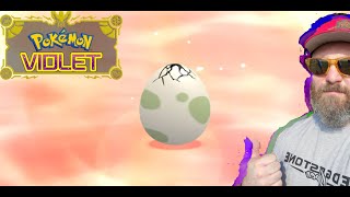 Shiny Egg Hunting White Stripe Basculin pt 7  Pokémon Violet [upl. by Doretta]