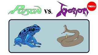 Poison vs venom Whats the difference  Rose Eveleth [upl. by Harriman936]