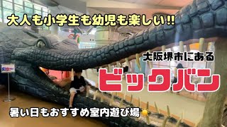 【大阪の堺市にあるビックバン】6人家族で大満喫⭐️迫力満点巨大ワニの遊具🐊昭和30年代にタイムスリップできちゃう町👘大人も子供も楽しい室内遊び場🛝 [upl. by Attem859]