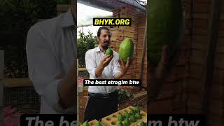 When HaShem Likes Your Mitzvah Torah RabbiYaronReuven Sukkot Judaism Mitzvah OrthodoxJudaism [upl. by Cheadle]