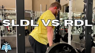 SLDL vs RDL  WHICH SHOULD YOU DO [upl. by Viole250]