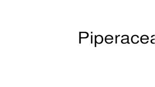 How to pronounce Piperaceae [upl. by Atineb]