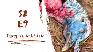 Real Estate Vs Turkey Hunting S2 E9 [upl. by Yci]