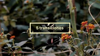 Las 5 transiciones que busca Triodos Bank [upl. by Rebmat]