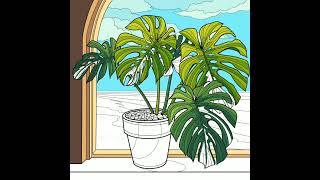 Monstera Deliciosa Plant plantita short [upl. by Irehj]