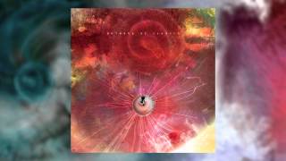 ANIMALS AS LEADERS  The Future That Awaited Me [upl. by Akcira]