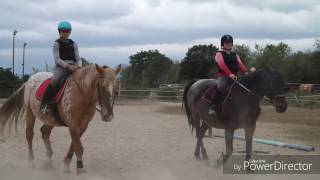 Cours galop 2 et 3 du mercredi Saut [upl. by Blaine378]