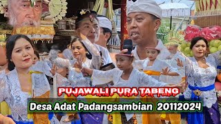 Pujawali Pura Tabeng Desa Adat Padangsambian Tgl 20  11  2024 [upl. by Ronal]