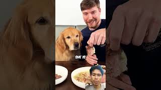 Steak 1 dollar vs Steak 10000 dollar dog food steak foodie dogfood funny mrbeast MrBeast [upl. by Barthelemy85]