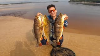 UMA DAS MAIORES SECAS DO AMAZONAS E MUITO PEIXE [upl. by Eatnwahs590]