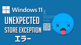 「UNEXPECTED STORE EXCEPTION」ブルースクリーンが発生する場合の解決方法Windows11 [upl. by Aili]