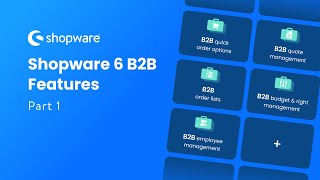 Shopware 6 B2B Features Part 1 [upl. by Zoara]