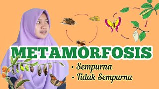 Pelajaran IPA METAMORFOSIS [upl. by Jangro]