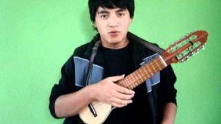 42 LOS KJARKAS siempre he de adorarte Cover charango [upl. by Curnin]