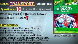 What Are XYLEM and PHLOEM Tissues REALLY Doing Differently [upl. by Hogan]