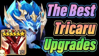 Endgame SPEED DB12 Guide Important Tricaru Tips  Summoners War [upl. by Latsyrhk784]