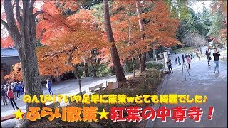 【☆ぶらり散策☆】紅葉の中尊寺～岩手県西磐井郡平泉町 [upl. by Retsek]