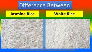 Difference Between Jasmine Rice and White Rice [upl. by Jeno]