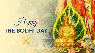 Buddhists worldwide celebrating the Bodhi day  Thay Thich Truc Thai Minh [upl. by Nnairda717]