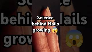 How do nails grow shorts ytshorts nails nailart [upl. by Asiak]