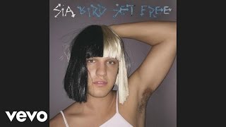 Sia  Bird Set Free Audio [upl. by Kcod]