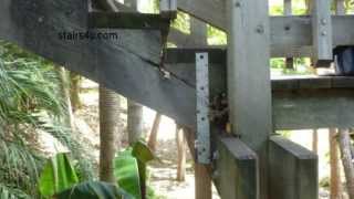 How To Strap Cracked Stair Stringers  Stairway Repairs [upl. by Bahr353]