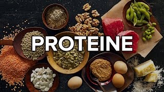 Proteine  Bazele Nutritiei [upl. by Rains]