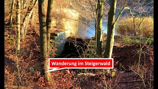 Wanderung im Steigerwald bei Kloster Ebrach und dem Baumwipfelpfad am 3011202 [upl. by Nybor]