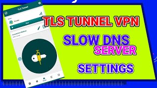 How to setup TLS tunnel vpn slow DNS server settings for Secure browsing [upl. by Steddman]