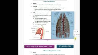 CVS lec3 larege vessels of thoraxشرح محاضرة الاناتومي بعنوان [upl. by Dyraj158]