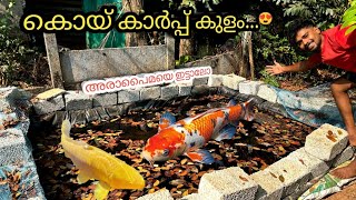 അരാപൈമയെ കാർപ്പുകളുടെ കൂടെ ഇട്ടാലോ🤔  new koi carp pond  malabar sneakhead [upl. by Nwahsuq]