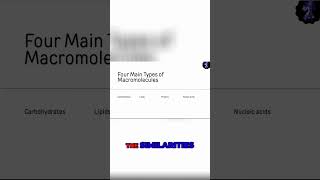 Unlocking the Secrets of Macromolecules Types Similarities and Differences [upl. by Chatav]