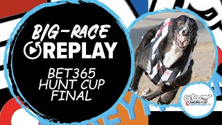 2023 bet365 Hunt Cup Final  Havana Lover  Greyhound Race Replays  2023 Big Finals [upl. by Sinnek]