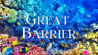 Great Barrier 4K  Journey Through Vibrant Coral Reefs and Marine Life with Calming Music [upl. by Lletram21]