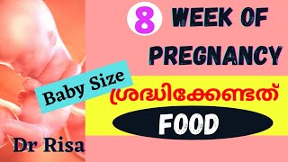 Pregnancy Week by Week Malayalam  8 week of Pregnancy Malayalam  2 month of Pregnancy [upl. by Remas]