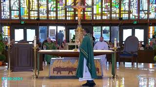 Nativity Catholic Church Live Stream [upl. by Beller261]