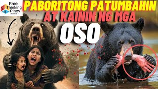 GANITO MANGHULI ANG OSO  Bear hunting prey Moments [upl. by Madelene]