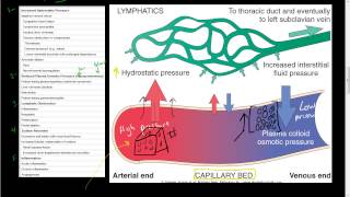 43Hemodynamic DisordersEdemaLymphatics Disorders lymphedema elephantiasis peau dorange [upl. by Dulcia]