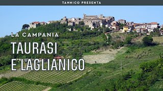 Taurasi l’Aglianico e il Radici di Mastroberardino  Tannico [upl. by Alice768]