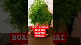 Cara Buat Bonsai Gruping bonsai [upl. by Einna]