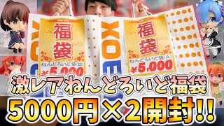 即完売のねんどろいど福袋が奇跡的に買えたので開封して合計金額調べてみたったｗｗｗ [upl. by Atiuqel939]