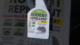 Peppermint and Cinnamon Oil  Stops Squirrels Rodents from eating your Engine Wiring harness usa [upl. by Aciria]