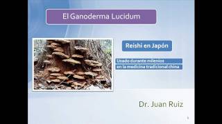 Ganoderma Lucidum  Dr Ruiz [upl. by Hokanson]