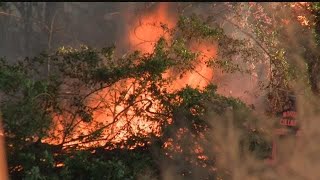 Picayune Strand fire reaches 6000 acres [upl. by Kavita]