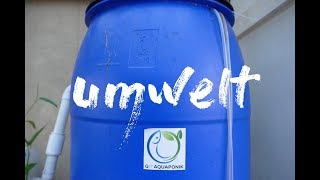 Ist Aquaponik gut für die Umwelt [upl. by Limann492]